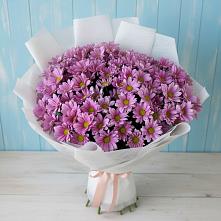 Букет цветов из:  Хризантемы в Усть-Кишерть