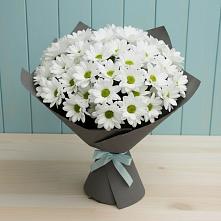 Букет цветов из:  Хризантемы #REPLACE_PRED# Усть-Кишерть