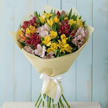 Букет цветов из:  Альстромерии #REPLACE_PRED# Усть-Кишерть