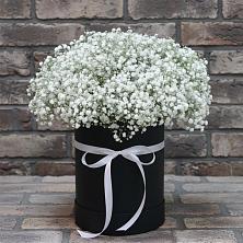 Цветочная композиция из Гипсофила в шляпной коробке в Усть-Кишерть