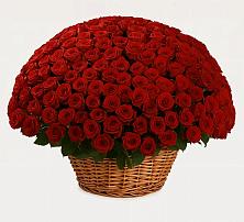 Премиум букет из: Розы #REPLACE_PRED# Усть-Кишерть